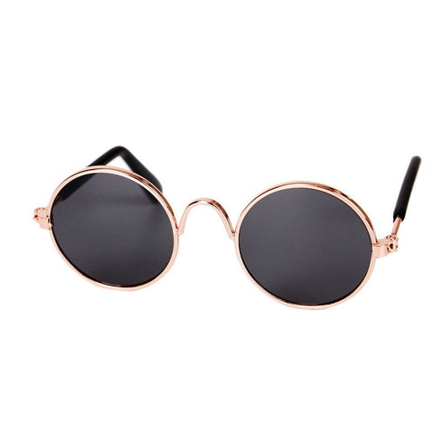 Coloured Dog Glasses